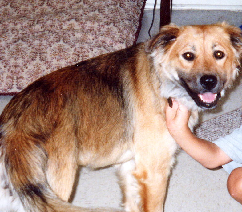 Sierra