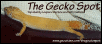 site banner