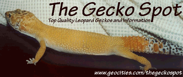 site banner