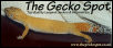New Banner