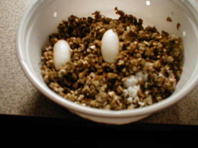 Leo eggs