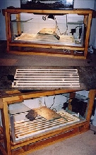 undergaravel pipe system