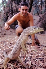 yellow spotted monitor, and me!