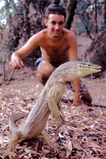 yellow spotted monitor, and me!