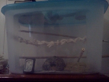 New Enclosure-Feedback Needed