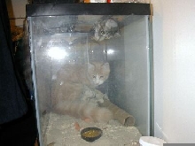 A little to big