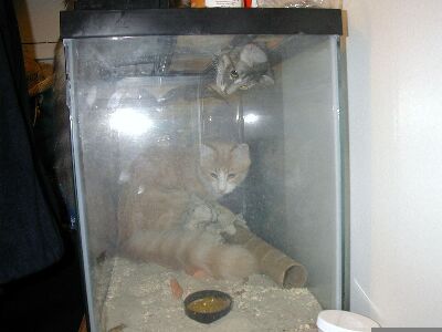 A little to big