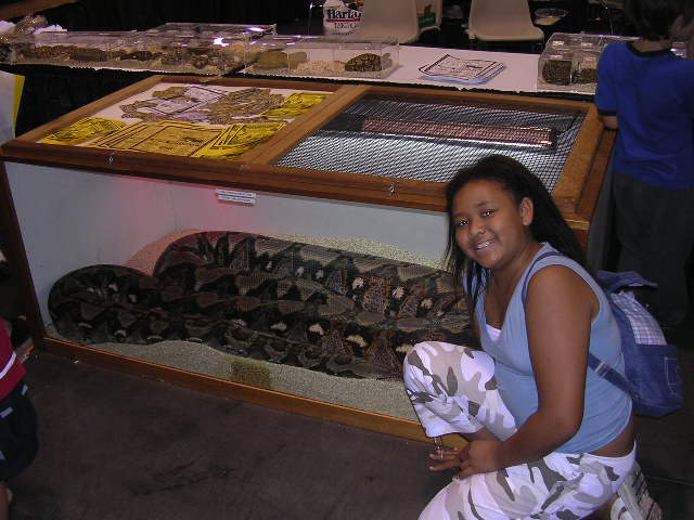 huge snake!!