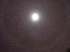 christmas moon
