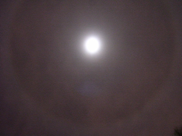 christmas moon