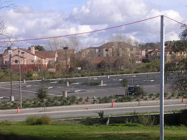stork