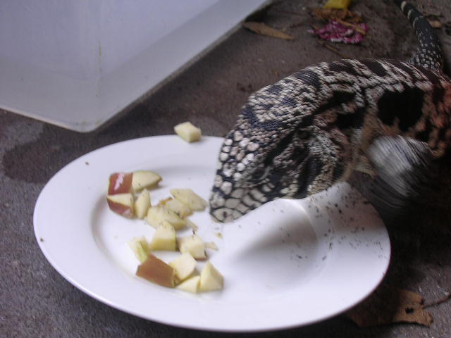eating apples