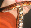 Hamlet =) My first snake :D