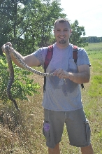 Kankakee Sands Preserve Bull 3