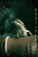 3 month Beraded Dragon. ;)