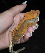 Pretty boy!