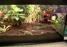 Betty showing off her pad