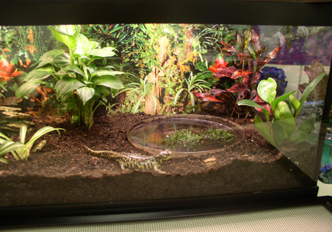 Betty showing off her pad