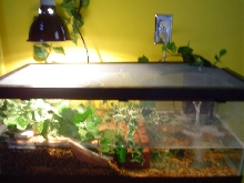 1st Habitat