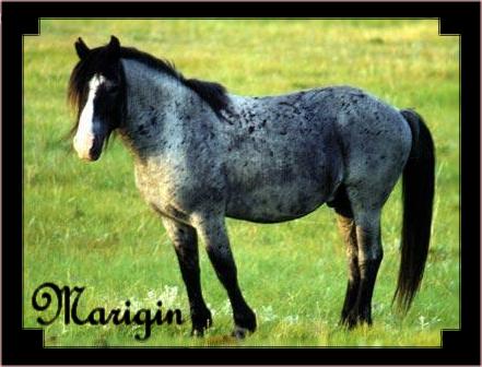 Marigin