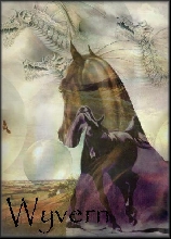 Wyvern