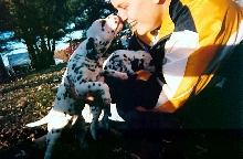 Dalmatian pups Minnie and Whinnie