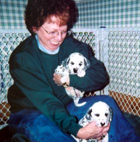 Dalmatian pups Minnie and Whinnie with friend