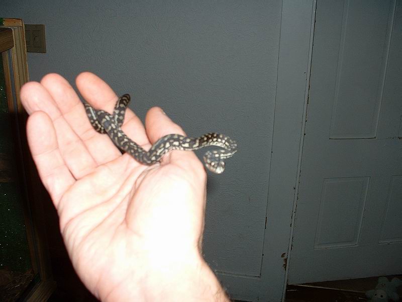 So young!so angry.