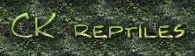 CK reptiles