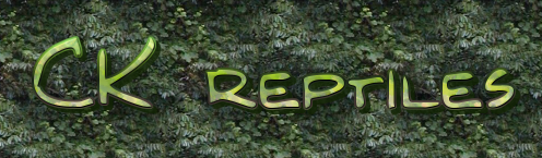 CK reptiles