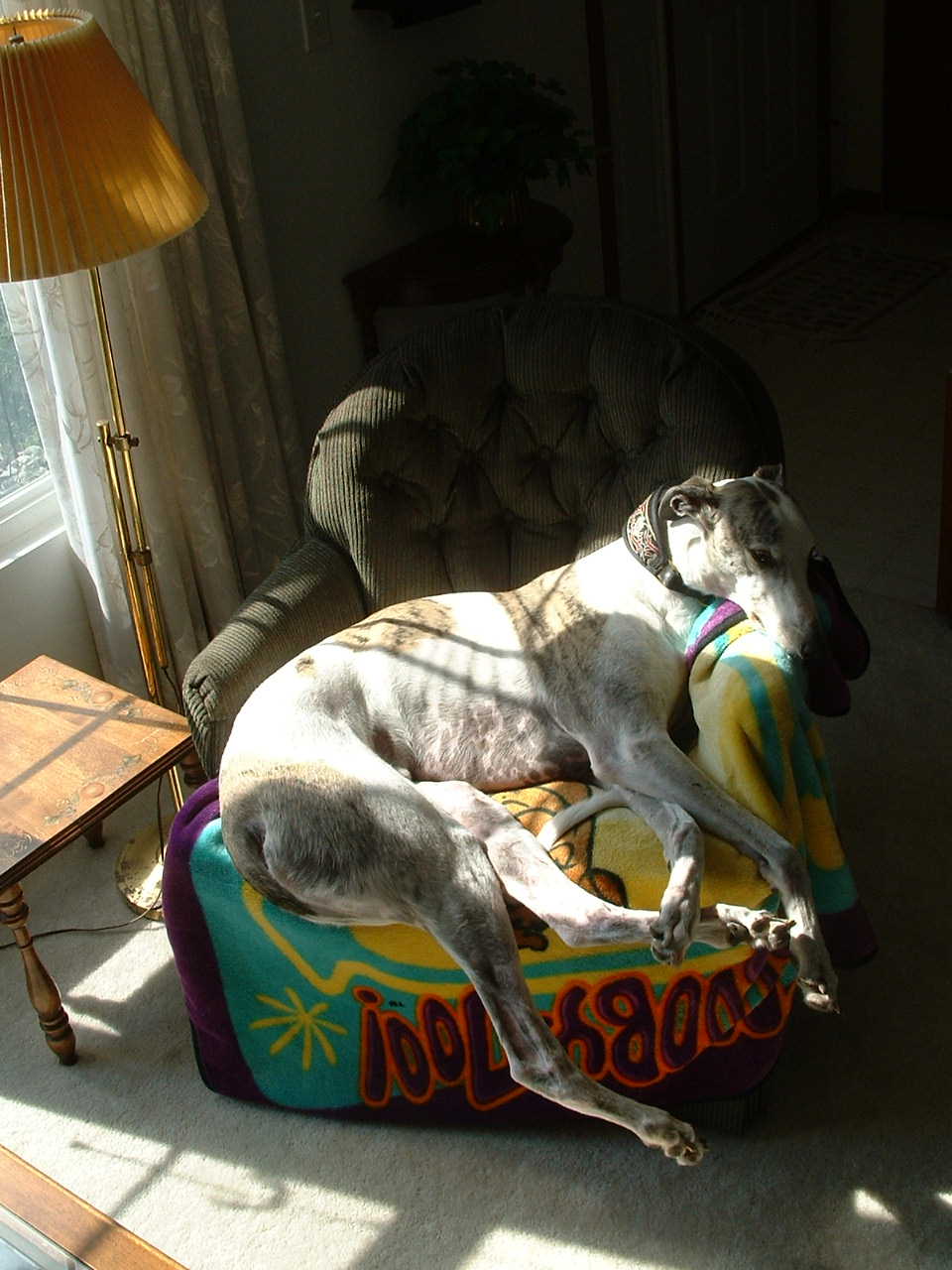 When the Couch is taken...
