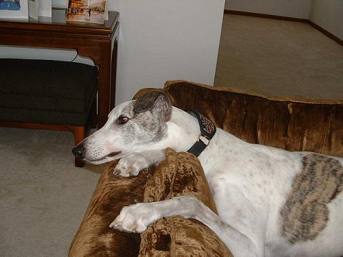Sky lounging