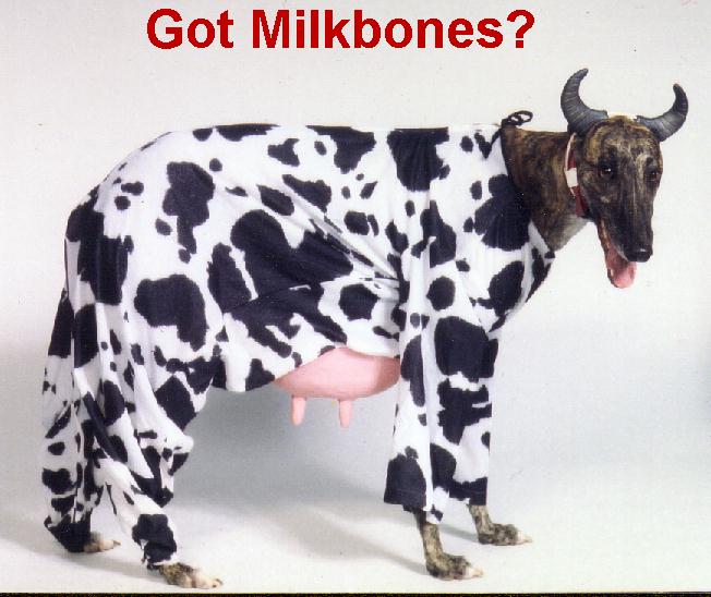 Got Milkbones???