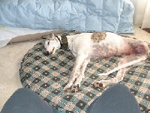 Sky post-surgery