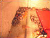b-day