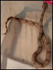female (L)