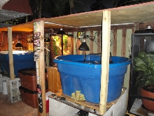 TURTLE SET UP