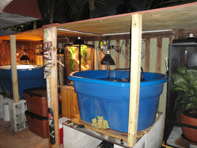 TURTLE SET UP