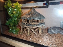 NEW DIGS