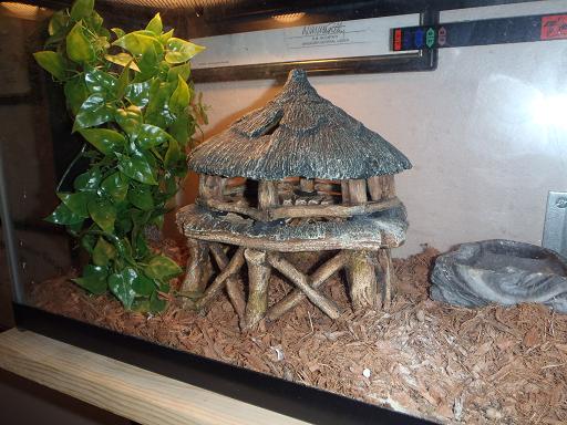NEW DIGS