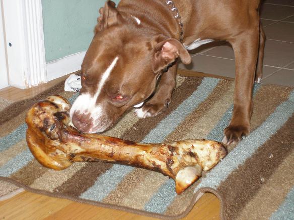BONE