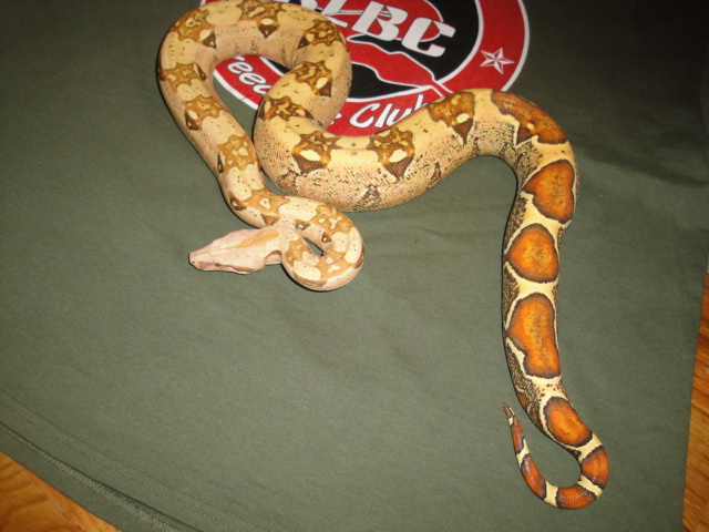 VPI
