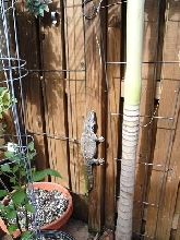 monitor sunnin'