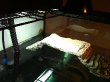 90 Gallon Tank - 2nd Side Shelf View