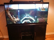 90 Gallon Tank - Front View
