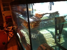 90 Gallon Tank - Side Shelf View
