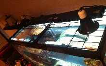 90 Gallon Tank - Top of Tank