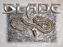 My New Cal. King Snake