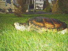 First day out, 2004