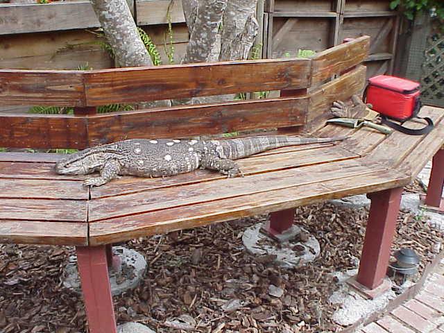 Albert on the Bench